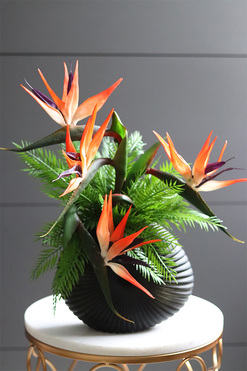 Strelicja Dekina, egzotyczna kompozycja w wazonie, wym.50x45cm 