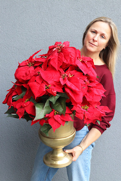 Gwiazda Betlejemska Puchar, wys.69cm