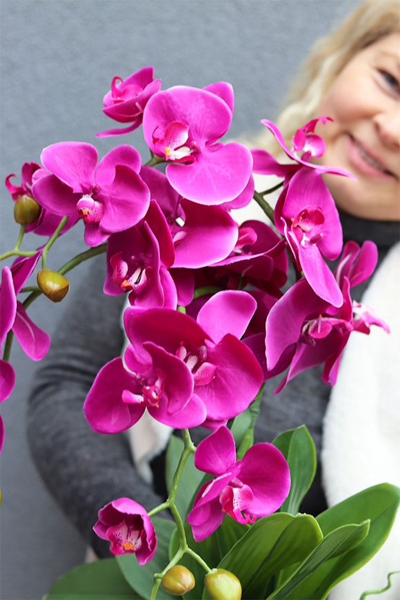 Fuksja Simple 2, fuksjowy sztuczny storczyk w donicy