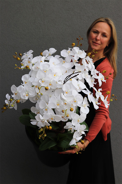 Sylvinia storczyk w twoim wkładzie