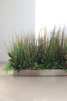 Albertina Steel, trawy w stalowej donicy