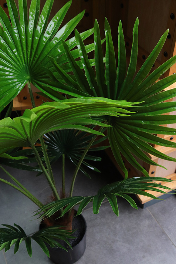 Palma Livistona, sztuczna roślina w doniczce