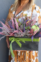 Wrzosowisko Jesienne, kompozycja kwiatowa w donicy