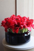 Amarylisy Gaina, kompozycja kwiatowa w misie