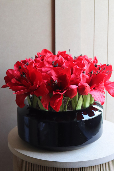 Amarylisy Gaina, kompozycja kwiatowa w misie