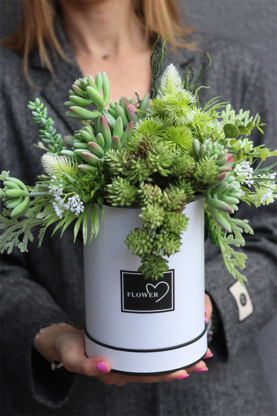 Arizona 2, flowerbox z sukulentami