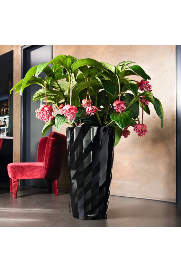 Diamante wysoka donica z nawadnianiem