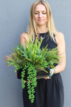 Green Design B, kompozycja sukulenty w czarnej donicy, wym.34x40x30cm