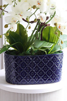 Dark Blue Orient 3, wysokiej jakości sztuczny storczyk