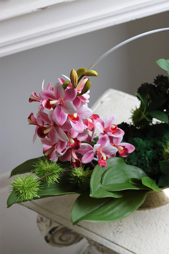 Cesareo gumowy storczyk w pucharze