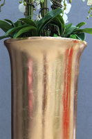 Golden Misteria Palace, ekskluzywny storczyk podłogowy, wys.196cm