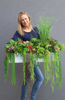 Dalila 2, kompozycja trawy & sukulenty do twojej donicy, wym.68x85x48cm