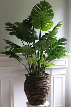 Monstera Basket, sztuczne drzewo w koszu, wys.158cm