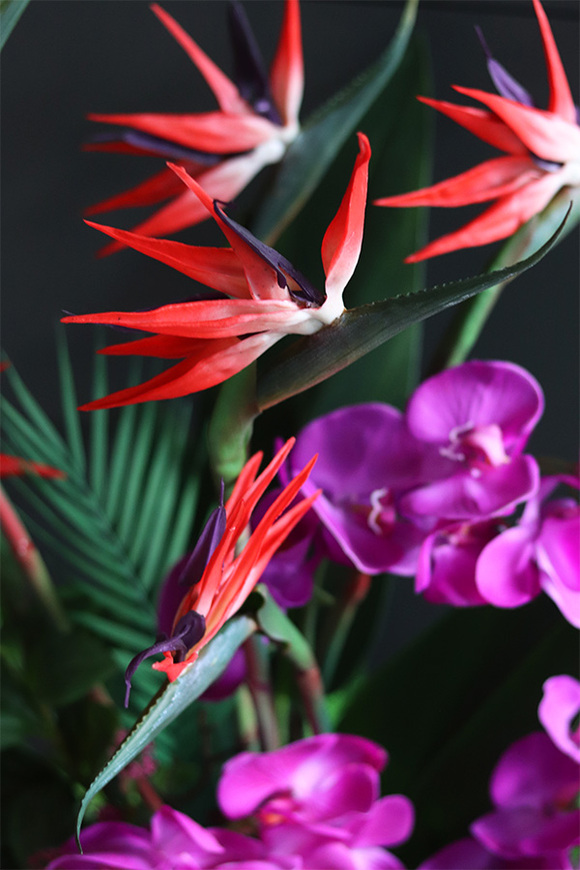 Strelicja&Orchidea Lux, egzotyczna kompozycja