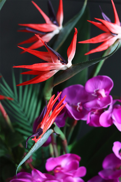 Strelicja&Orchidea Lux, egzotyczna kompozycja