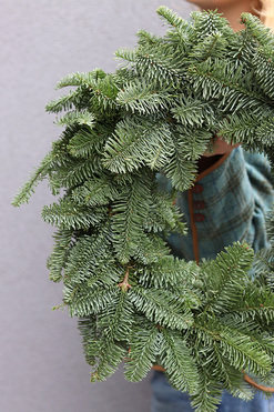 OD RĘKI Nobilis, wianek świąteczny z żywych gałązek, śr.50cm 