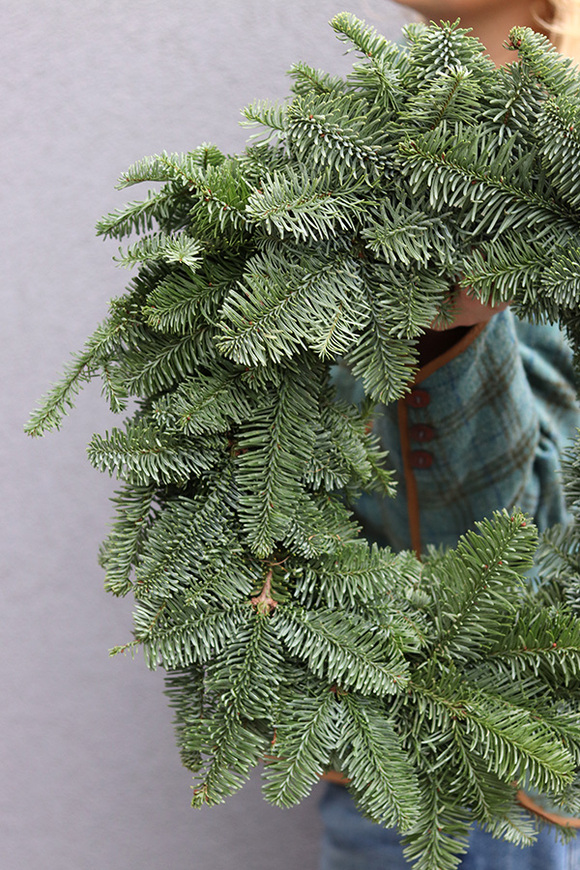 Nobilis, wianek świąteczny z żywych gałązek