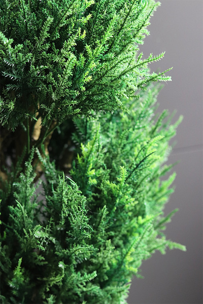 Cyprys, sztuczna roślina w doniczce