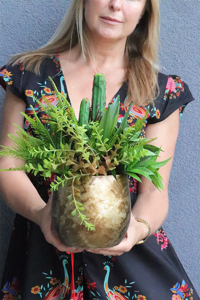 Green Cacti Hilton, sukulenty w złotej donicy