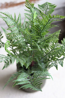 Boho, paproć w ozdobnej donicy, wys.40cm 