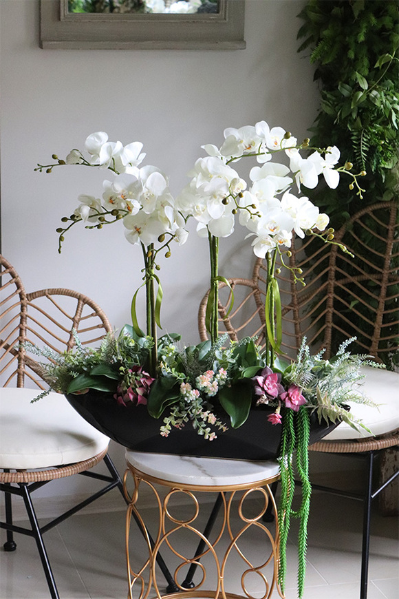 Asiano Laos Black, ekskluzywny storczyk z sukulentami, wym.71x60cm 