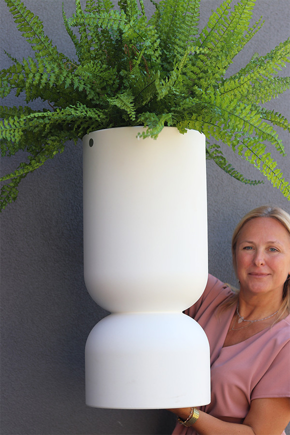 Moderno Fern, paproć w metalowej donicy