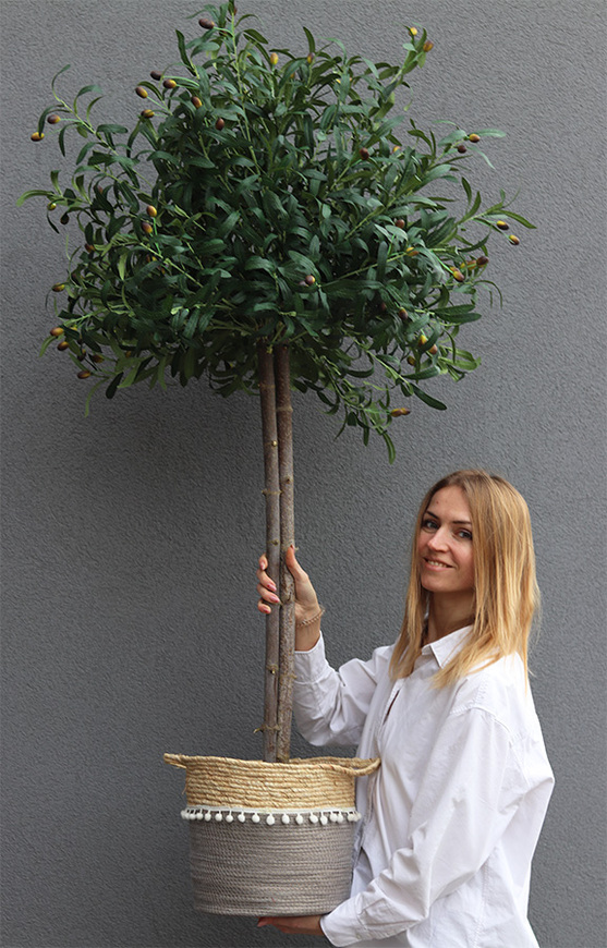 Drzewko Oliwne Basket Boho, sztuczna roślina w koszu