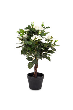 Róża, sztuczna roślina w osłonce, biały, wym. 61x35x35cm