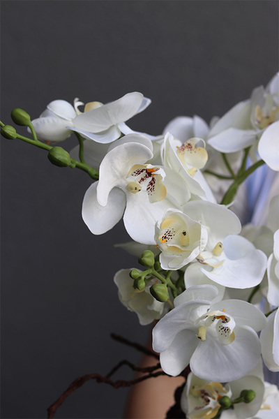 Silver Fretana, sztuczny storczyk w srebrnej misie