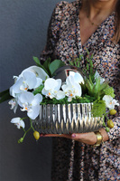 Dekoria White Deko, kompozycja z orchideą w srebrnej misie