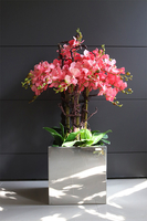 ekskluzywny storczyk w stalowej donicy, Koralovy Mirror Cube