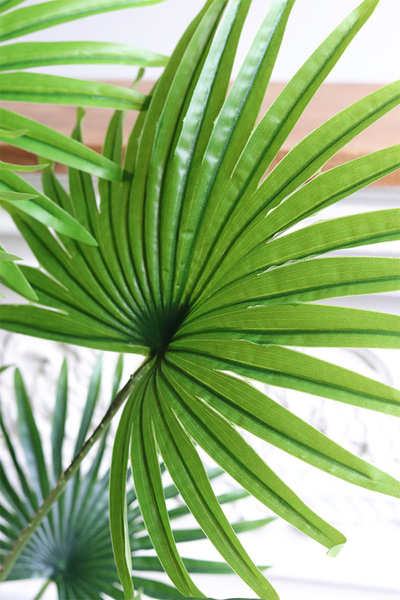 Palma Livistona, sztuczna roślina w doniczce