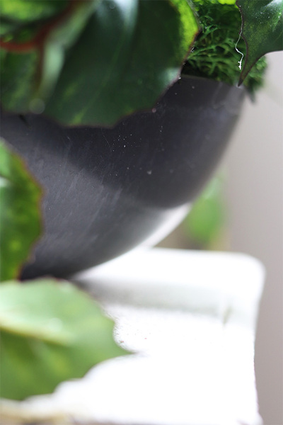 Martha Fuksjana, dekoracja nagrobna