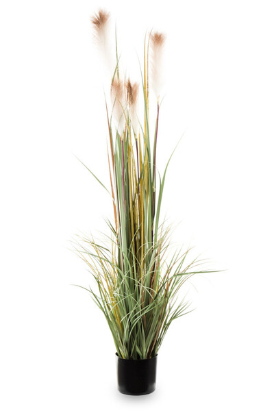 sztuczna trawa Pióropusze, beż, wys.150cm