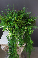 Greenita Sukulenty Saute, zielona dekoracja do twojej donicy