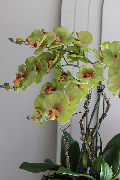 Greenfelo, sztuczny storczyk w lustrzanej donicy, wys.58cm