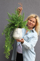 Marbello Green, kompozycja zielona w wiszącej donicy