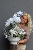 Frozen Winter, elegancki storczyk zimowy