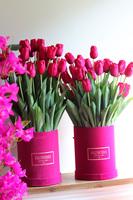 Pink Tulips, amarantowy flowerbox z tulipanami