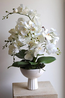 Leori, sztuczny storczyk w pucharze