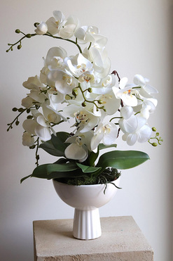 Leori, sztuczny storczyk w pucharze, wys.56cm