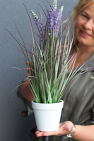 Macadamia S, sztuczna trawa kwitnąca w doniczce