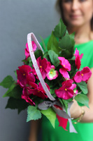 Bratki Pink, różowy koszyk z kwiatami