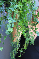 Greeneda Moni, zielona kompozycja wisząca