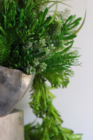 Suculentas Espana sukulenty w głowie kompozycja