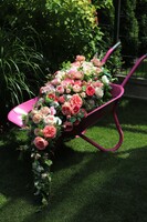 Barrow Pink, dekoracja kwiatowa na taczce 