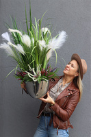 Sulencja Cinderella, jesienna trawa z wrzosami w donicy