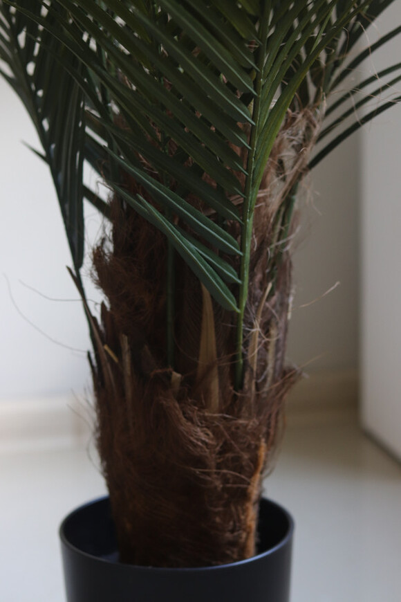 Palma Magellania, sztuczna roślina w doniczce