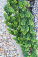 OD RĘKI atrakcyjna girlanda świąteczna, Natural Christmas, dł.160cm    