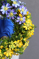 wianek na drzwi z rumiankiem, Ukraina